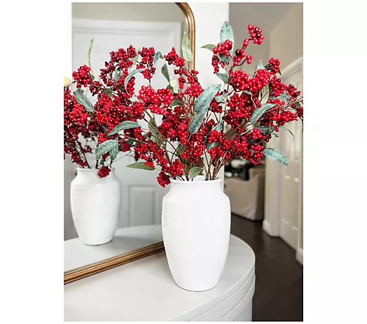 Simply Stunning Set of 5 Cascading Berry Branches by Janine Graff - QVC.com | QVC