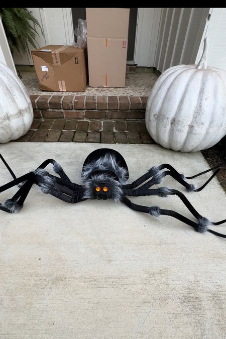 These huge spiders that are great for securing to home exterior for Halloween decor from target. Linking other sizes also 

#LTKHalloween #LTKhome #LTKSeasonal