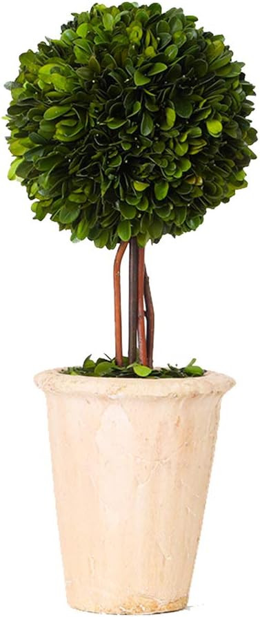 Artificial Yanglwood Evergreen Globe Tree Bonsai, Terracotta Pot Green Plants Home Decor (Single ... | Amazon (US)