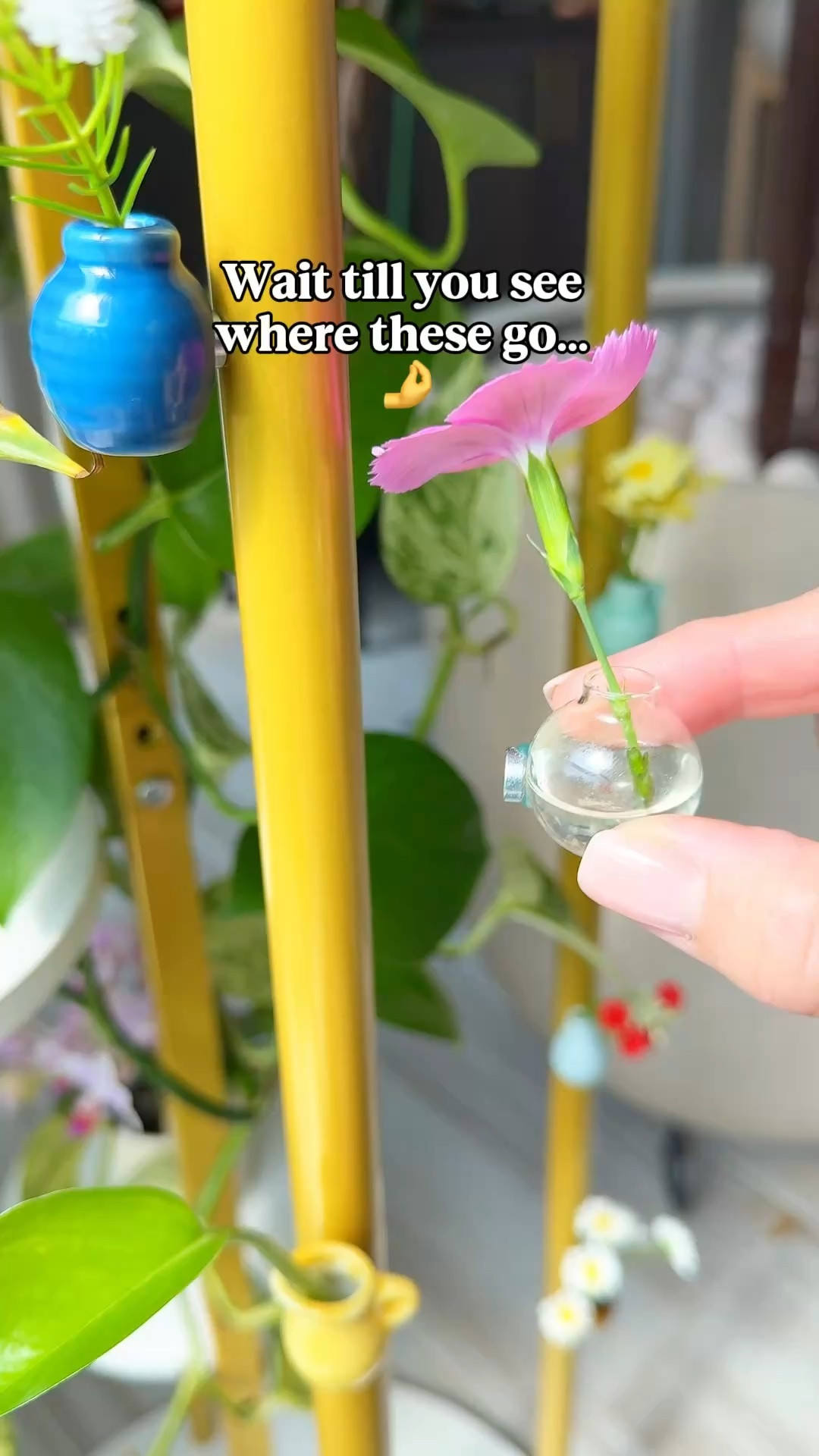 I did not know my plant stand was missing something until NOW. 🧲✨ Click them onto your plant stand, refrigerator, or metal cabinet — add a little water, drop in your favorite propagation or tiny bloom — and just like that, everything got cuter. 🌿🫶

🌱 Perfect for props, tiny florals, or just because you deserve more plants in your life.

#plantparent #planttok #propagation #plantstand #minivases

#LTKMothersDay #LTKmomlife #LTKHome