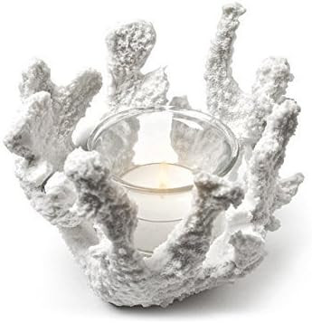 Amazon.com: Abbott Collection Coral Tea Light Holder, White: Home & Kitchen | Amazon (US)