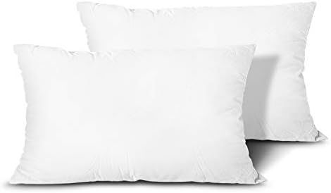 Edow Throw Pillow Inserts, Set of 2 Lightweight Down Alternative Polyester Pillow, Couch Cushion, Sh | Amazon (US)