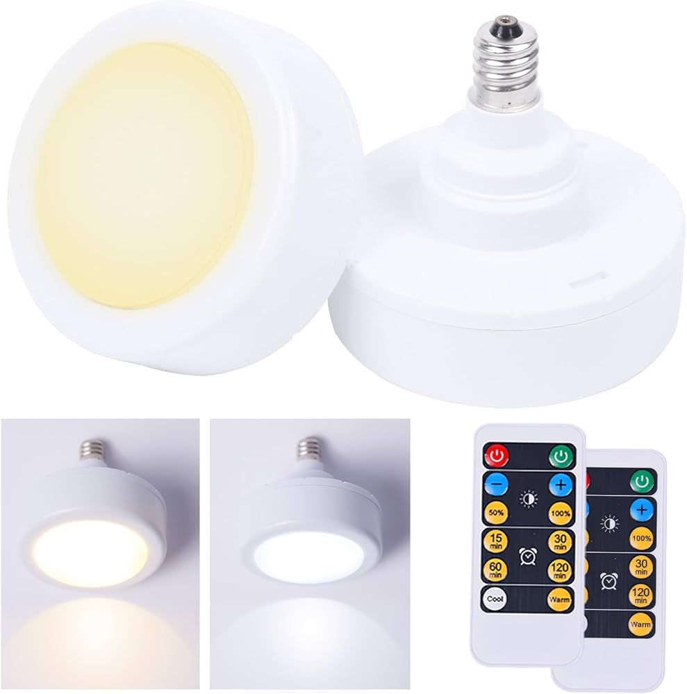 Jizmeyn E12 Base Battery Operated Light Bulb with Remote, 3 AAA Battery Powered LED Light Bulbs, ... | Amazon (US)