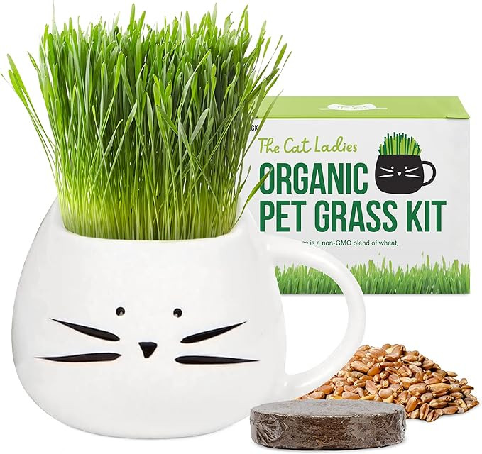 The Cat Ladies Organic Cat Grass for Indoor Cats - Growing Kit with Organic Seed Mix, Soil and Wh... | Amazon (US)