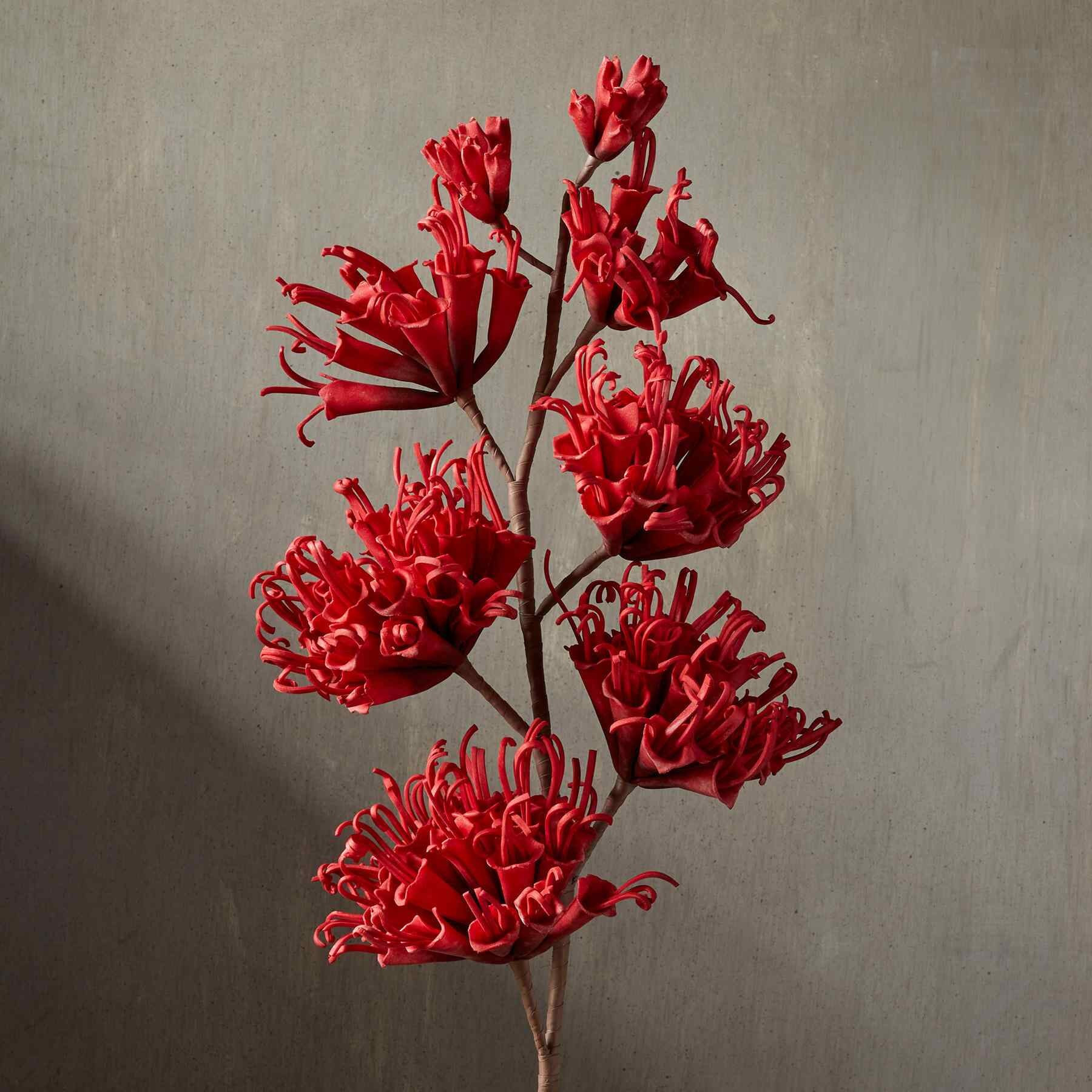 bountiful botanicals | Sundance Catalog