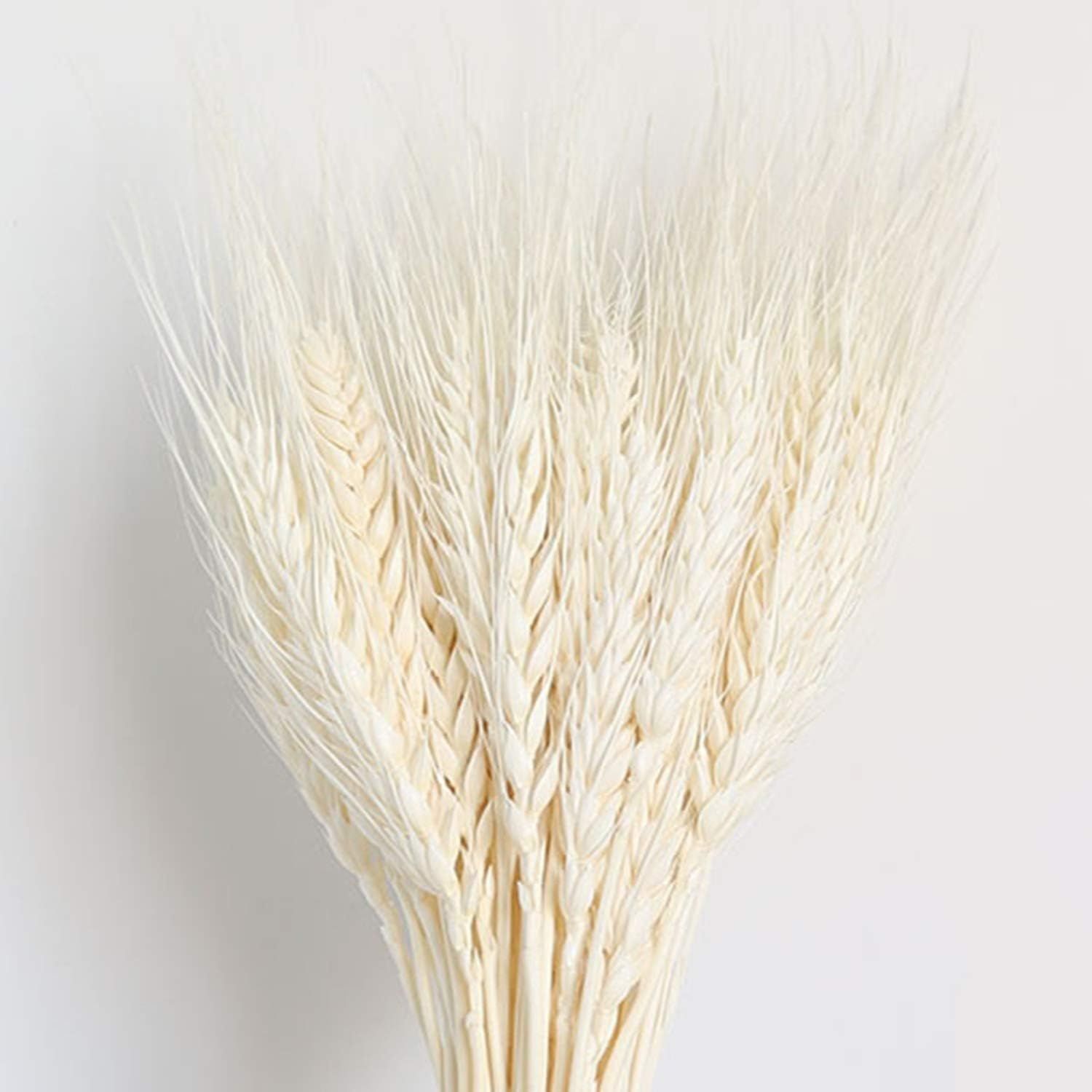 Delokey 200 Stems Dried Wheat Sheaves Stalks-Artificial Flower with Natural Ear of Wheat Grain Fl... | Amazon (US)