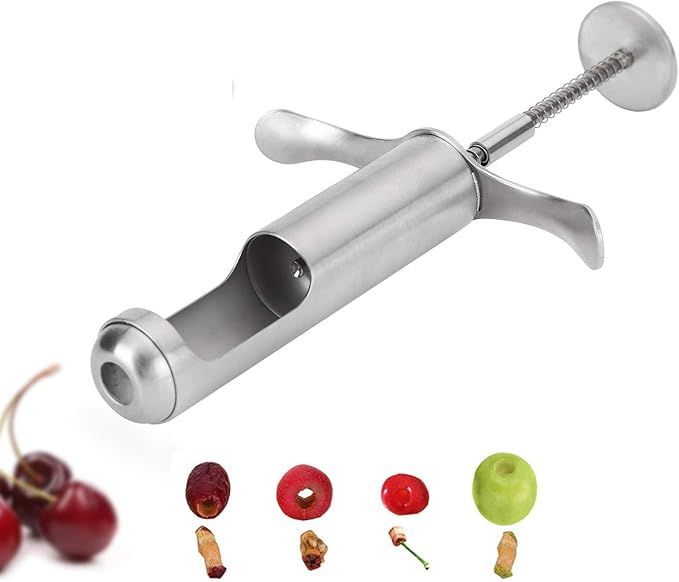 Red Dates Hawthorn Seeds Removing Tool, Reusable Grapes Seeds Removing Tool Stainless Steel Fruit... | Amazon (US)