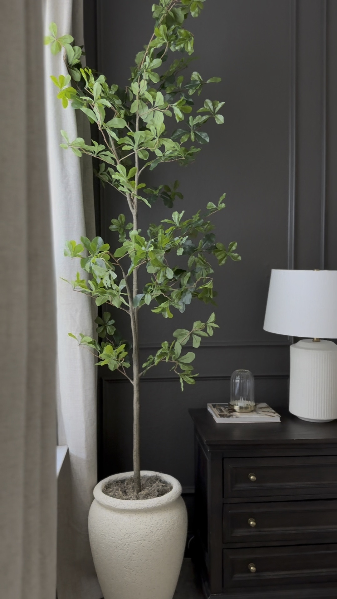 This faux tree from Amazon is perfect for small corners of your home because it’s skinny. I love it!

Amazon home decor // ceramic floor vase // oversized pot // shady lady tree // bedroom decor  

#LTKHome #LTKFindsUnder100