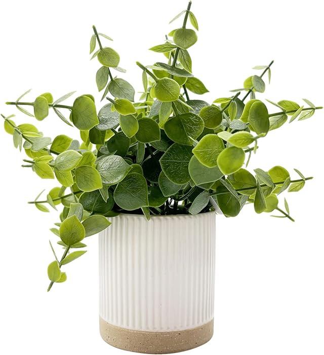 Small Fake Eucalyptus for Decorative Trays,9.5" Artificial Eucalyptus Ceramic Potted Plants for O... | Amazon (US)
