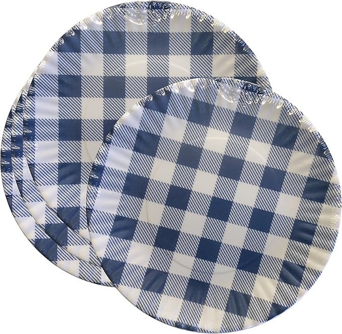 What Is It?" Reusable Blue & White Gingham Checkered Picnic/Dinner Plate, 7.5 Inch Melamine, Set ... | Amazon (US)