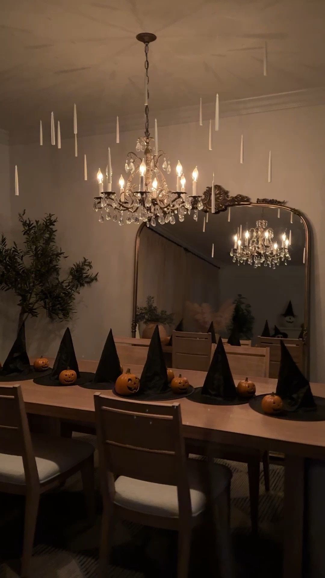 Love these floating candles! 





Music: Let the Mystery Unfold
Musician: geoffharvey
Site: https://pixabay.com/music/-let-the-mystery-unfold-122118/

#LTKSeasonal #LTKFamily #LTKFindsUnder50