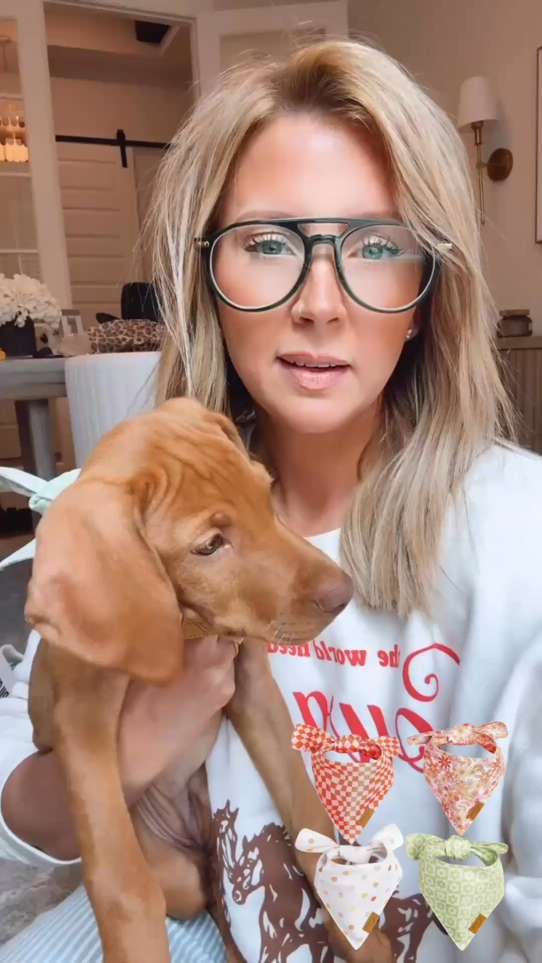 Dog bandanas from Amazon 

#LTKActive #LTKFindsUnder50 #LTKPets