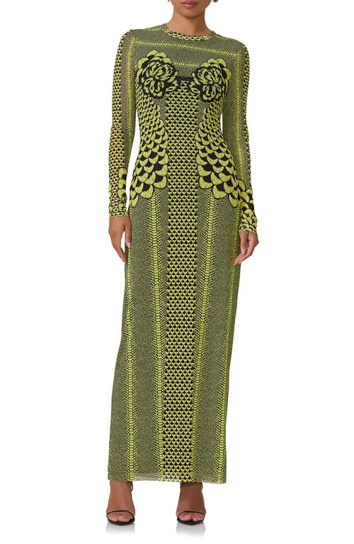 AFRM Didi Long Sleeve Mesh Maxi Dress in Citrus Petal at Nordstrom, Size Small | Nordstrom