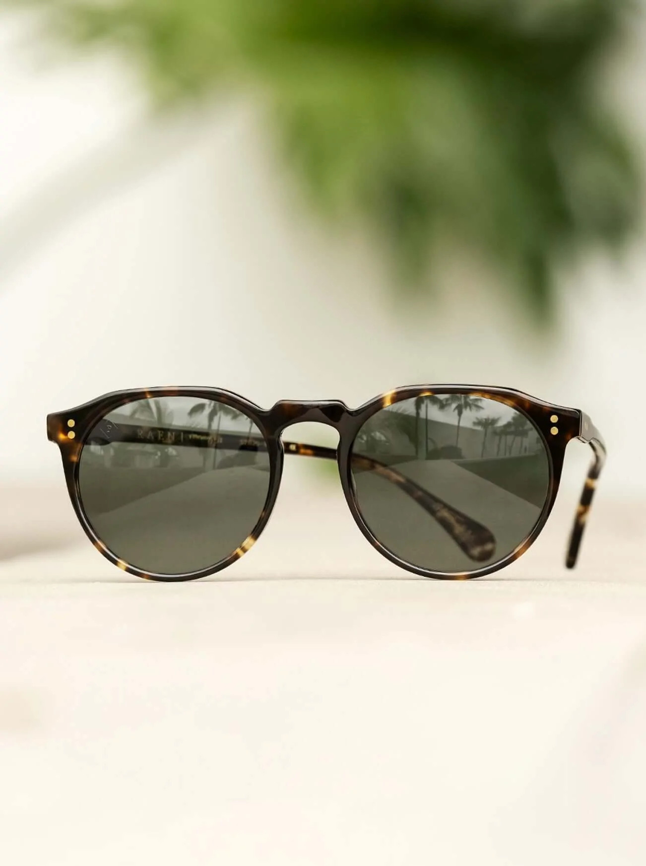 REMMY-Honey / Green Polarized-49 | RAEN