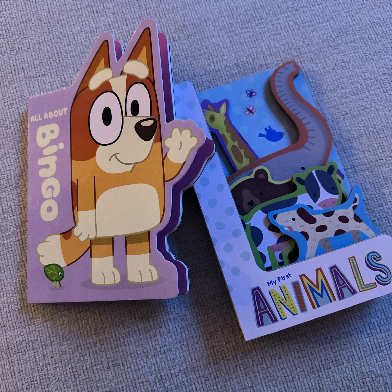 New books for our girl!

#LTKBump #LTKBaby #LTKKids