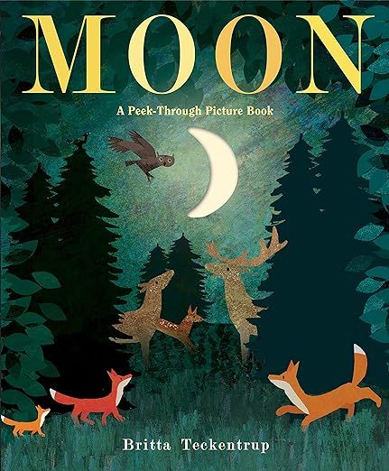 Moon: A Peek-Through Picture Book     Hardcover – Picture Book, February 20, 2018 | Amazon (US)