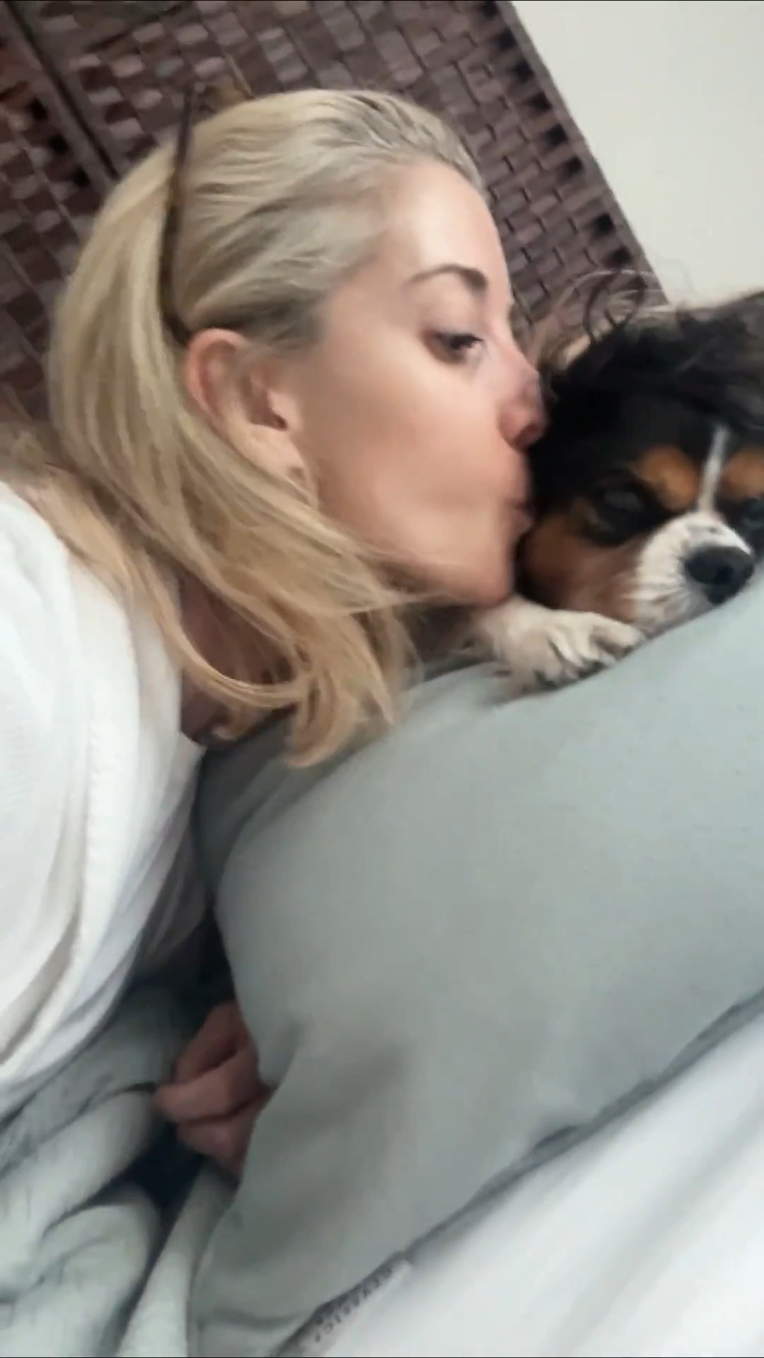 Lounging at home in bed w my dogs! Shop my favorite Amazon and Wayfair home finds on a budget! Back to school dorm budget friendly and first apartment. Or smarty savvy shoppers looking for a home upgrade! And finally , dog and pet must haves !! 

#LTKPets #LTKHome #LTKFindsUnder100