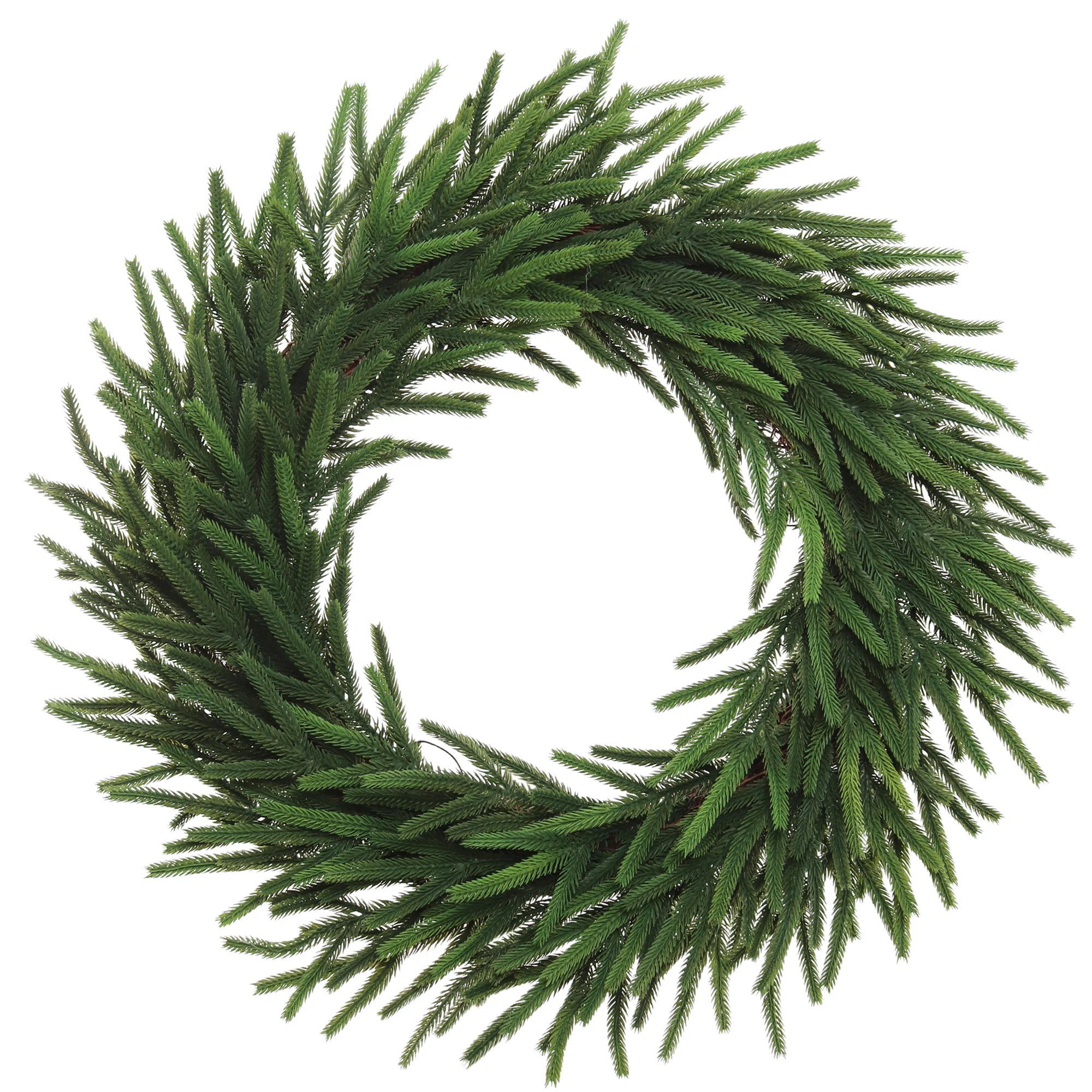 24" Green Real Touch Norfolk Wreath - Realistic Indoor/Outdoor Christmas Display, Front Door Seas... | Wayfair North America