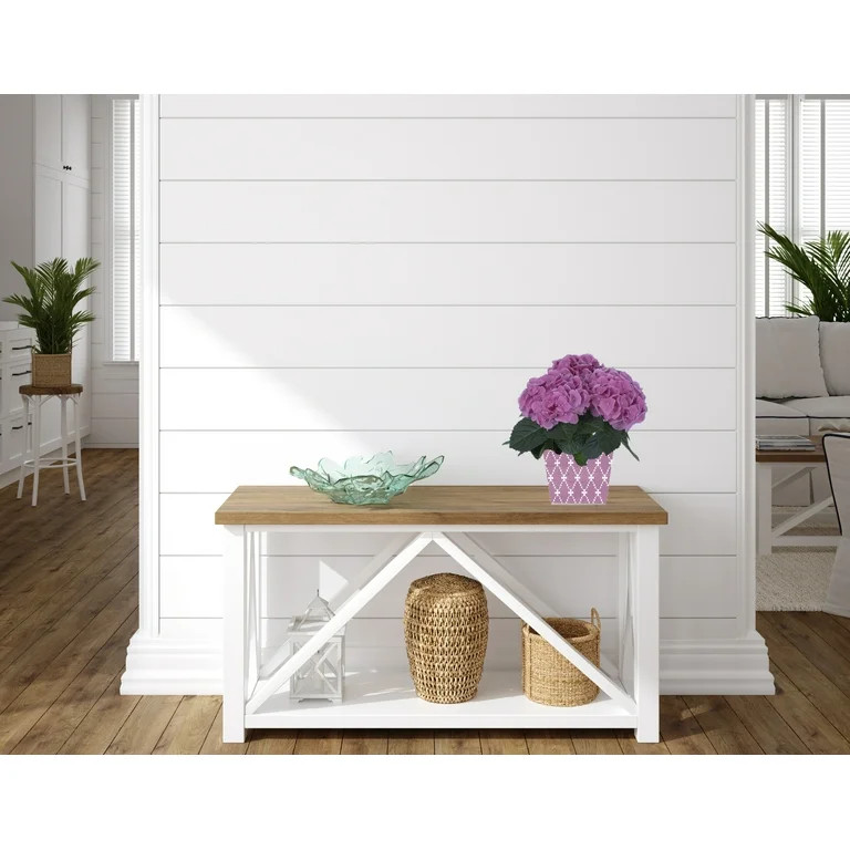 Better Homes and Gardens Mother's Day 5" Hydrangea | Walmart (US)