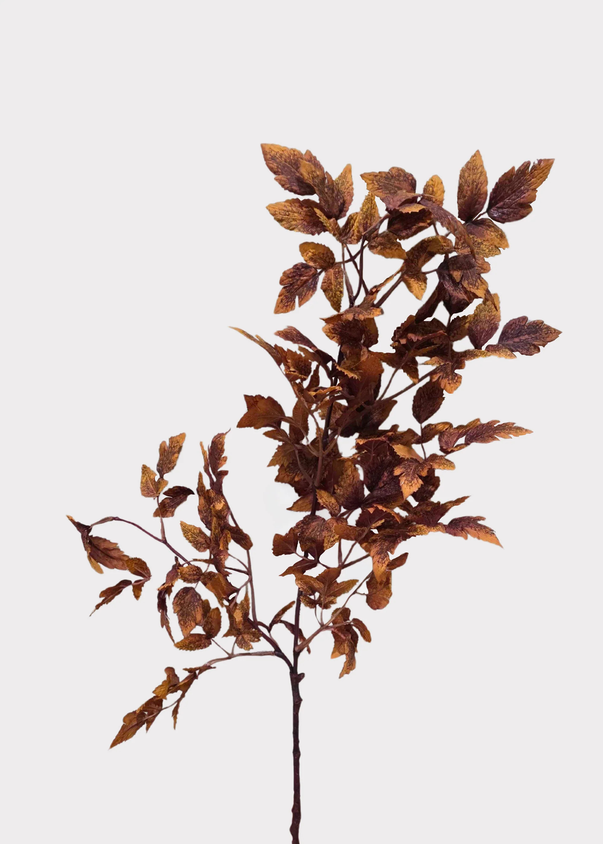 Fake Cimicifuga Ramosa Leaves in Rust Brown - 30" | Afloral