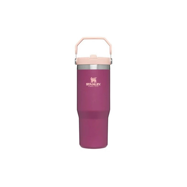 Stanley Iceflow Flip Straw 30 oz Tumbler | Scheels