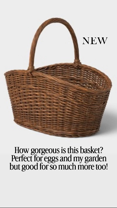 Lots of new storage options from @Target 
This basket is perfect for collecting eggs and items from my garden, but there’s many other options also! ￼￼

#LTKdayinmylife #LTKSeasonal #LTKHome
