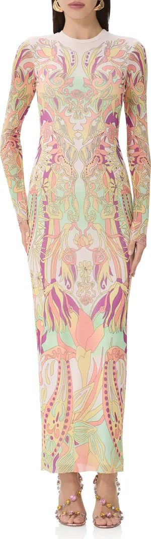 Didi Print Long Sleeve Maxi Dress | Nordstrom