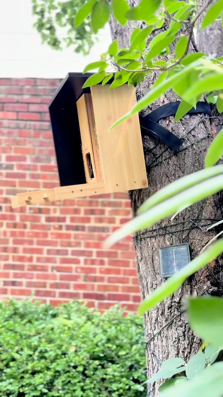 The PERFECT gift for this holiday season! 🐦✨ This smart bird feeder is clever, adorable, and brings a little nature magic right to your window — guaranteed to delight any bird lover.
Snag it here before it’s gone 

 #LTKGiftGuide #LTKHoliday #LTKSaleAlert