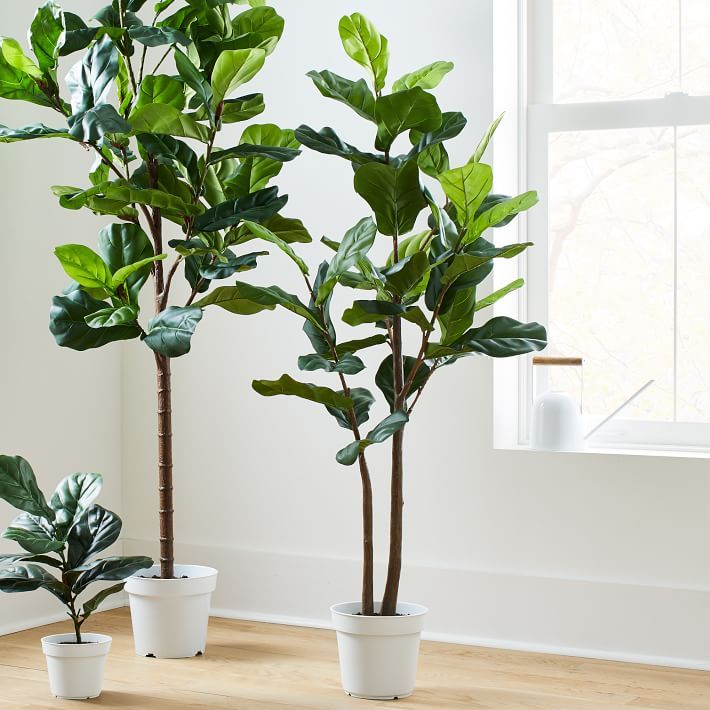 Faux Potted Fiddle Leaf Fig Plant - 5' | West Elm (US)