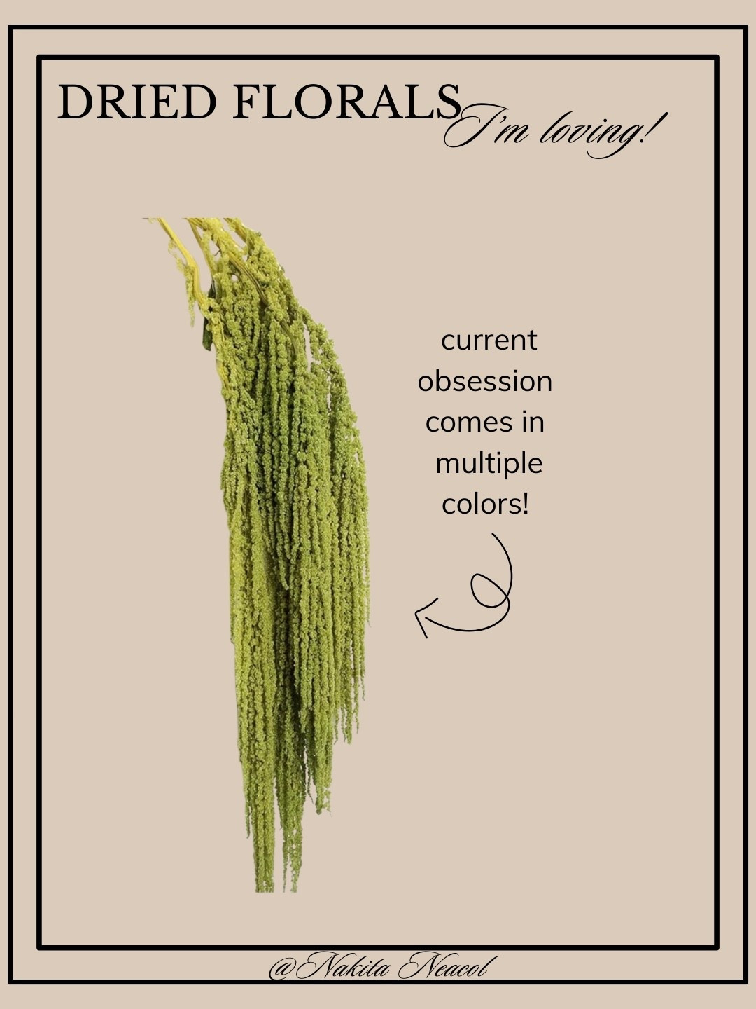 These GORGEOUS dried amaranthus florals to add a whimsical touch to your spring florals this season 😍😍

#LTKHome