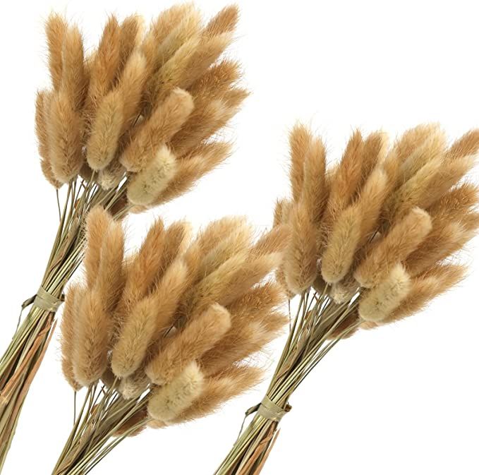 JOHOUSE 120PCS Dried Bunny Tail Grass, 16inch Dried Pampas Grass Natural Dried Lagurus ovatus for... | Amazon (US)