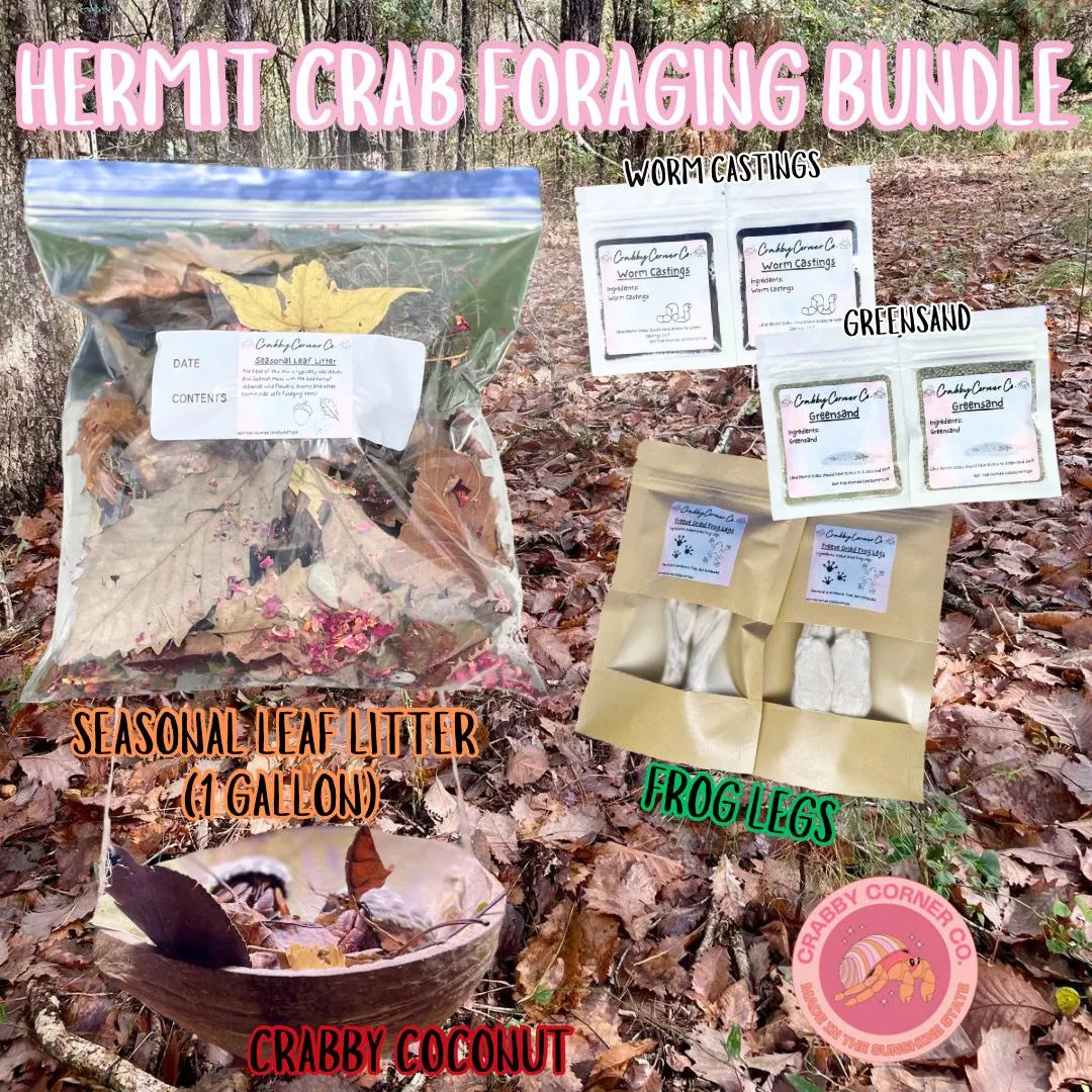 Hermit Crab Foraging Bundle | Food & Enrichment - Etsy | Etsy (US)