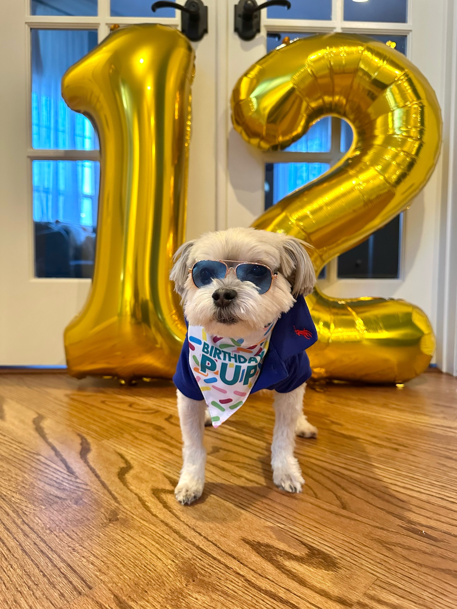 My first born is 12 today! 🥳