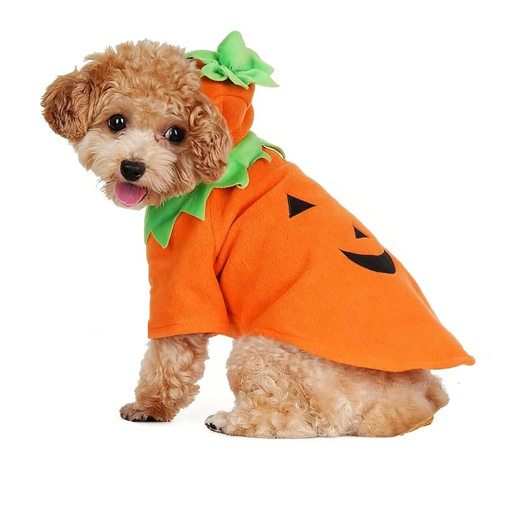 Tongcloud Dog Pumpkin Costume,Halloween Thanksgiving Dog Costume Outfits Party Dress Winter Jacke... | Amazon (US)