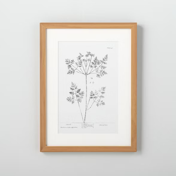 12" x 16" Floral Chervil Wall Art - Hearth & Hand™ with Magnolia | Target