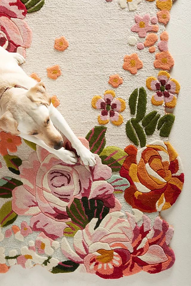 Aracelli Rug | Anthropologie (US)