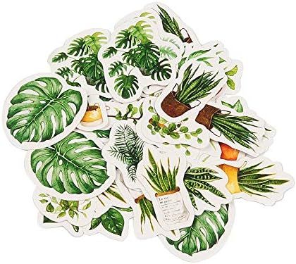Molshine 180pcs Irregular Shape Stickers-Green Potted Plant Series Decals for DIY,Personalize,Lap... | Amazon (US)
