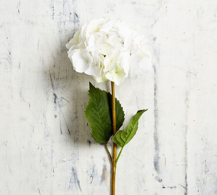 Faux Hydrangea Stem - White | Pottery Barn (US)