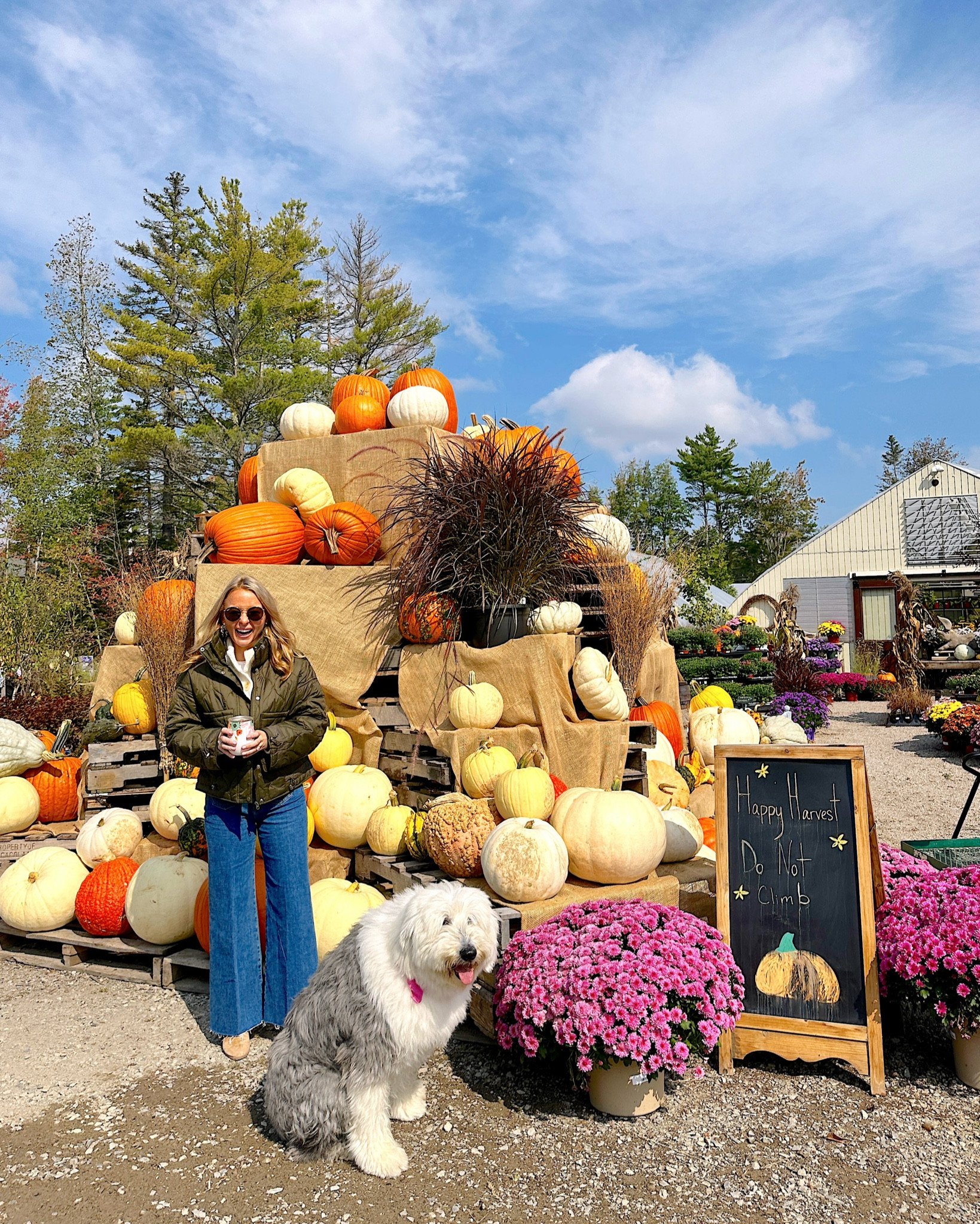 Super flattering wide leg jeans! True to size. The jacket is saved to my Amazon storefront 🎃 #jeans #widelegjeans #fallstyle 

#LTKHalloween #LTKshoecrush #LTKSeasonal