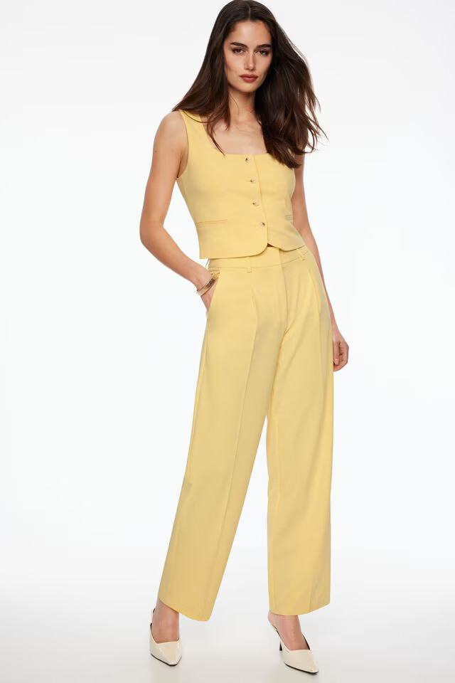 Sofia Pleated Straight Leg Pants | Dynamite Clothing