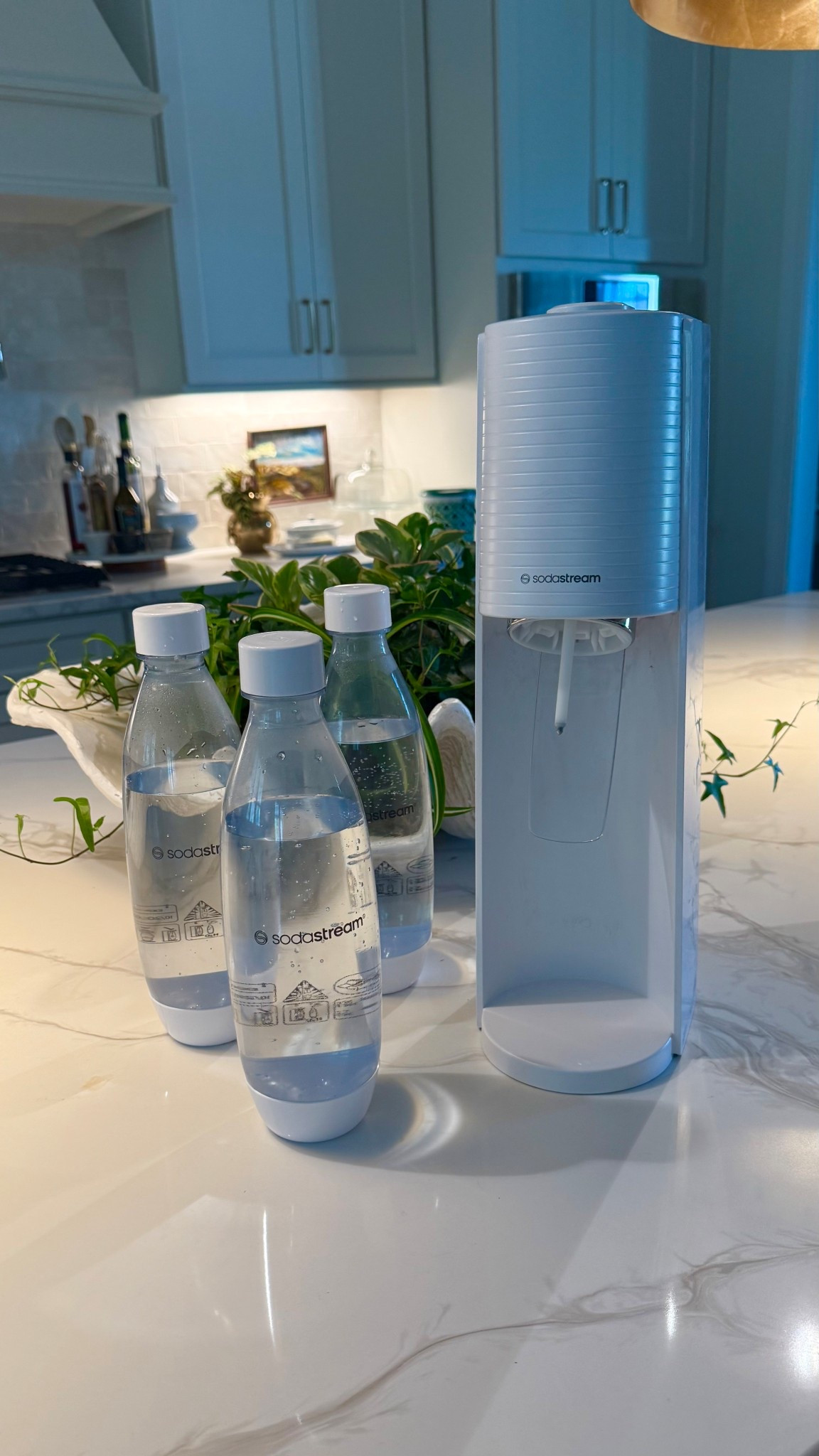 Say goodbye to hauling cases of sparkling water! 💦 The SodaStream lets you make fresh, fizzy drinks right at home—just the way you like them. It’s quick, easy, and one of my favorite kitchen upgrades.

Tap the link in the post to shop and start bubbling up your own sips!

#LTKHome #LTKSeasonal #LTKFamily