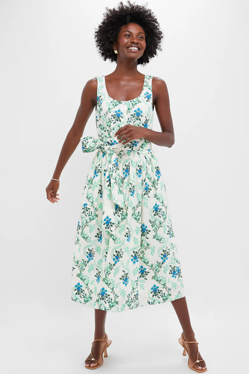 Cerulean Vine Cotton Poplin Sophie Dress | Tuckernuck (US)