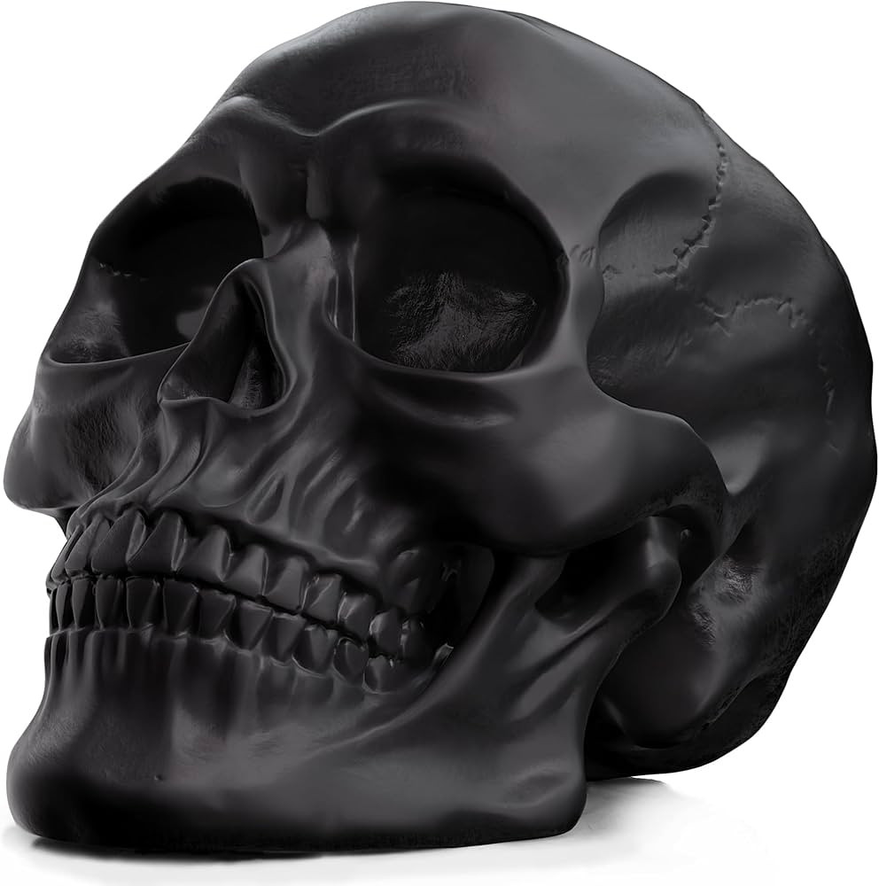 READAEER Resin Skull, Human Head Model for Home Decoration, Halloween Statue, Skull Model for Boo... | Amazon (US)