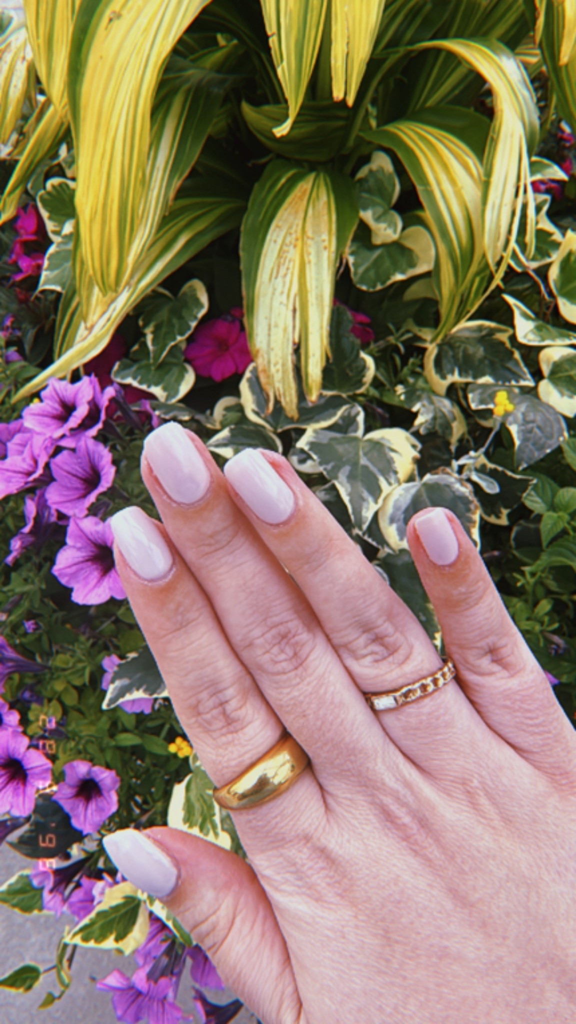 Summer nude manicure 💅🏼 // OPI don’t bossa nova me around nail polish, Amazon gold ring, Olive and Piper pearl ring 

#LTKFindsUnder50 #LTKSeasonal #LTKBeauty