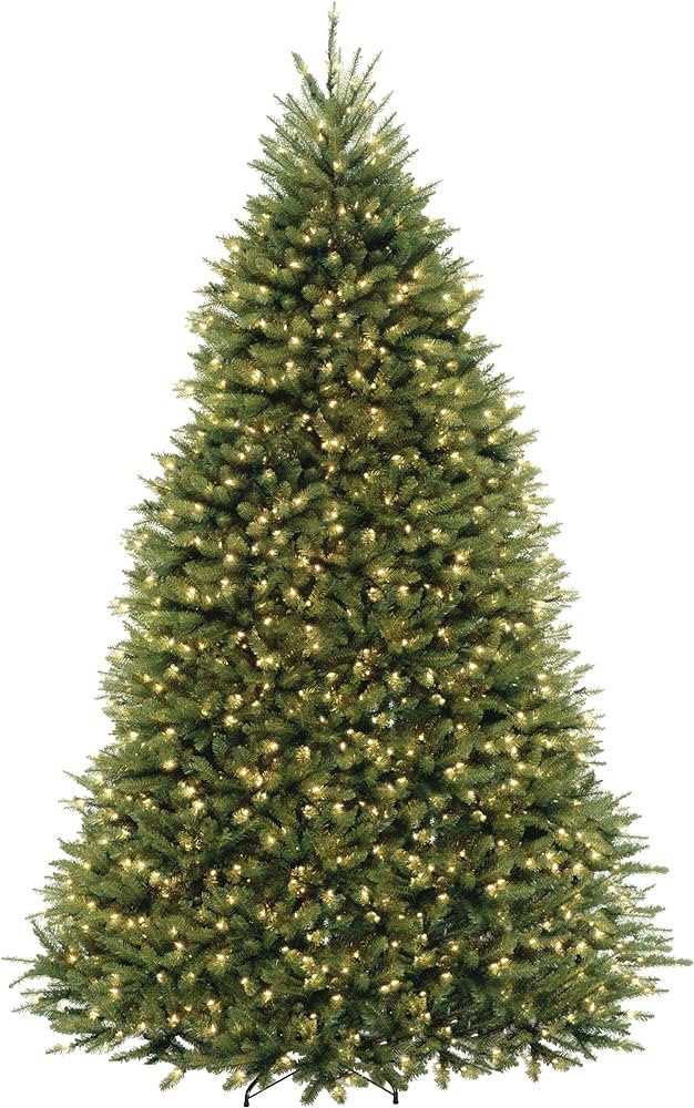National Tree Company Dunhill Fir Artificial Tree, 9 Ft, Dual Colored Lights | Amazon (US)