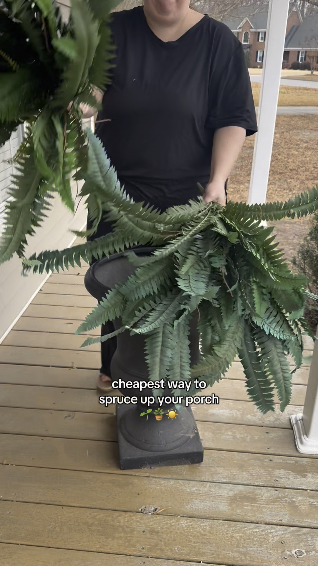 #porchdecor #artificialplants #fauxplants

#LTKSeasonal #LTKHome #LTKSaleAlert