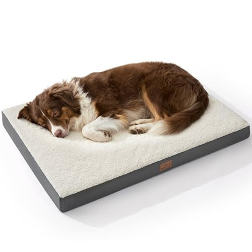 Bedsure Washable Dog Beds Large Sized Dog with Comfy Sherpa, 36x27in Grey | Amazon (US)