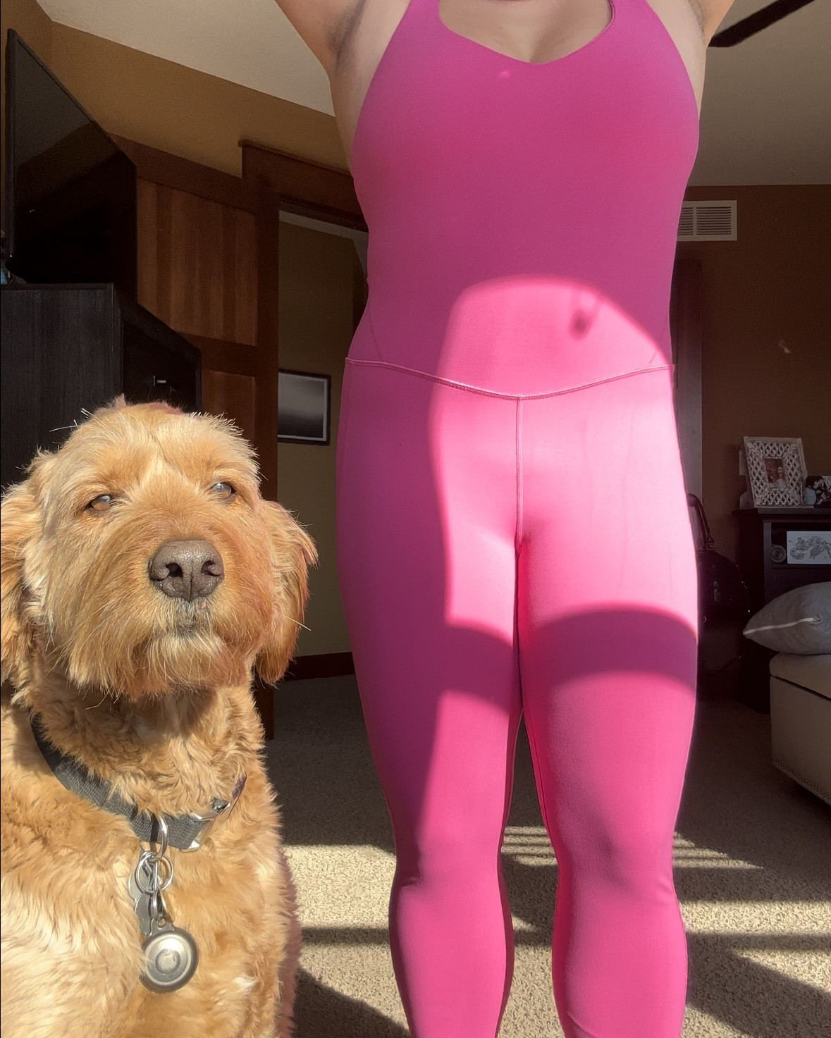 Hi, Barbie! 💗

I’ve always loved this bubblegum bodysuit but love it even more after my mommy makeover surgery!

The fabric is buttery soft, doesn’t ride, and offers plenty of support for high impact exercise.

I definitely channel my inner punk power ranger when I wear this fit to my Danze Jam classes and ALWAYS get compliments 🥰

Linked the jumpsuit in black! I’m wearing an XL ✨

#LTKMidsize #LTKActive #LTKFitness

#LTKMidsize #LTKFitness #LTKActive