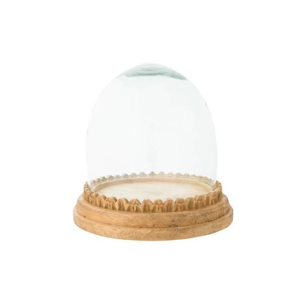 Hicksley Hickley Hand-Carved Mango Wood Base Recycled Cloche (Set of 2) | Wayfair Professional