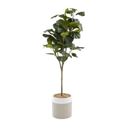 Outdoor Fiddle Leaf Fig Tree | Pier 1 Imports